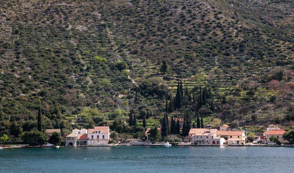 Apartments Zaton Bay Ντουμπρόβνικ Δωμάτιο φωτογραφία